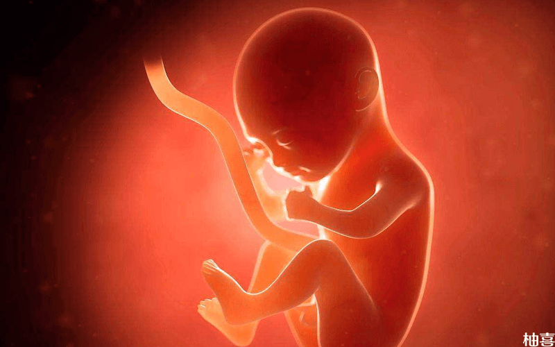 孕中晚期胎儿进行没有征兆