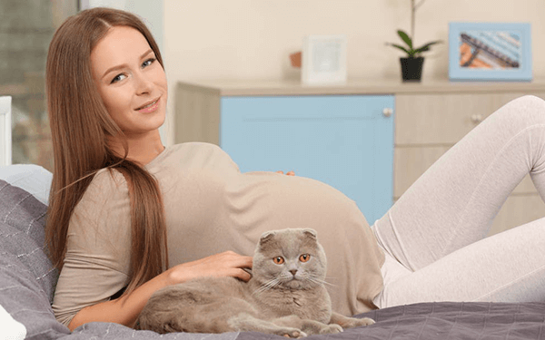 为什么很多猫都喜欢接近孕妇?求科普!