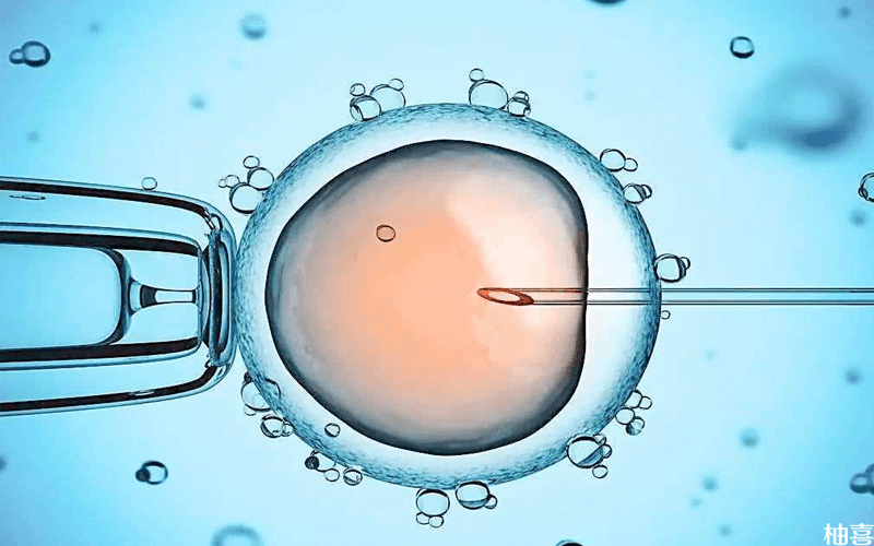 第二次打算移植冷冻的胚胎