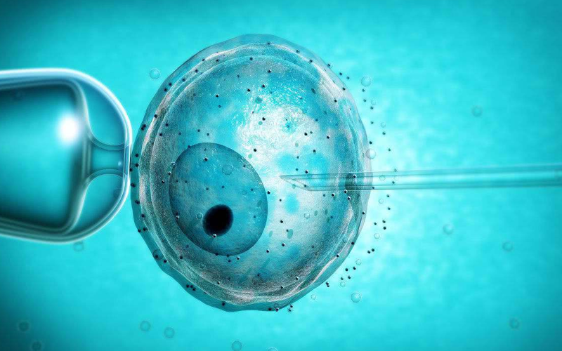 囊胚移植13天出现白板还是有可能移植成功的