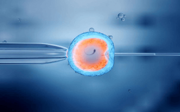 有没有囊胚移植第十三天白板抽血验hcg成功怀孕的案例？