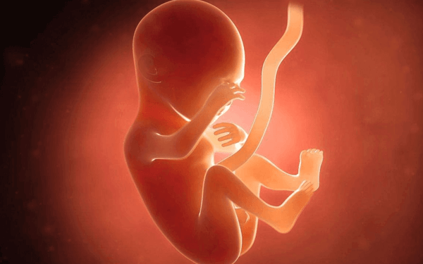 为什么怀孕八个月了的胎儿还会发育畸形？