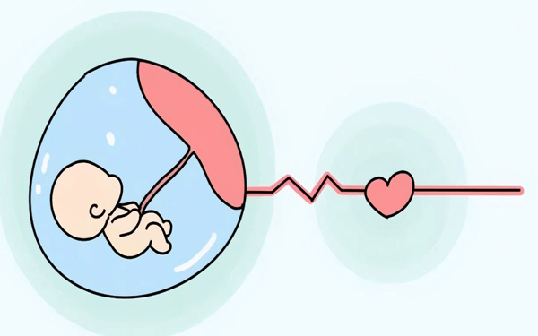 胎停一后考虑重新备孕，成功好孕的概率有多少？