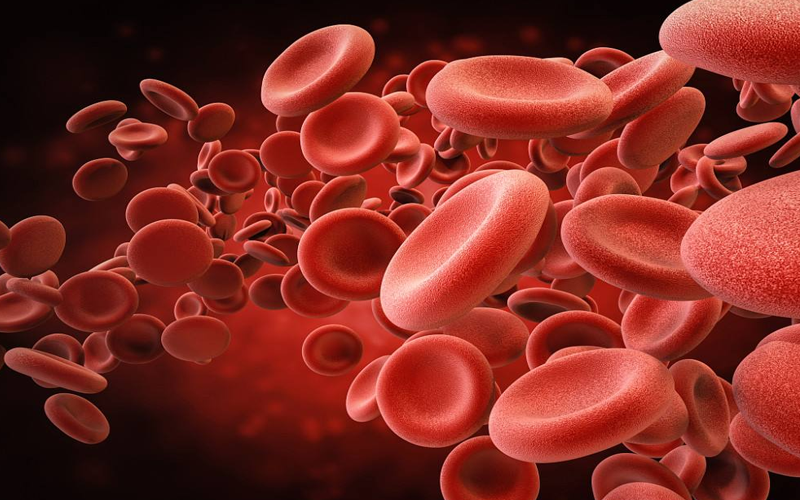 红细胞计数偏低有可能是营养不良导致的
