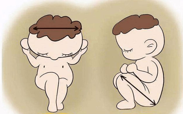 从胎儿双顶径和股骨长怎么判断生男女？求靠谱公式！