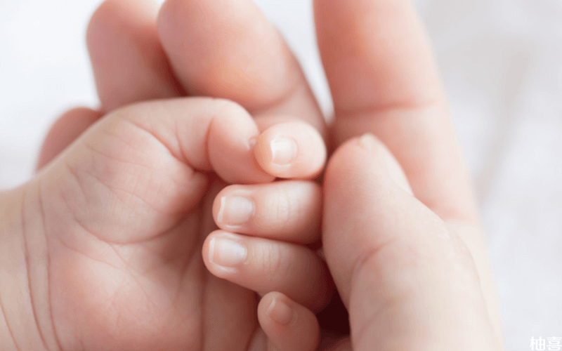 2024年生育三胎能享受到国家福利