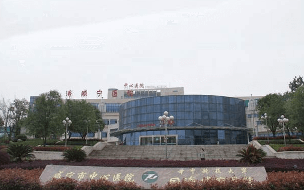 2024咸宁市中心医院试管婴儿费用，单周期花多少钱一文通