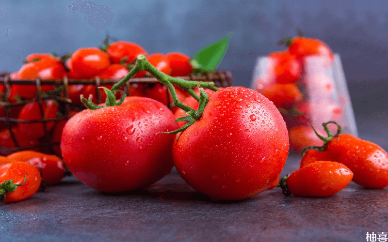 吃西红柿容易减少内膜的厚度