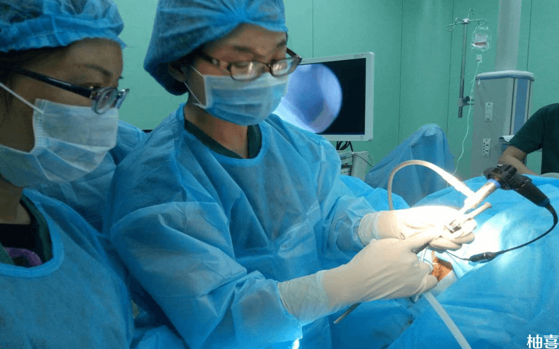 医生建议宫腔镜手术后尽快移植胚胎