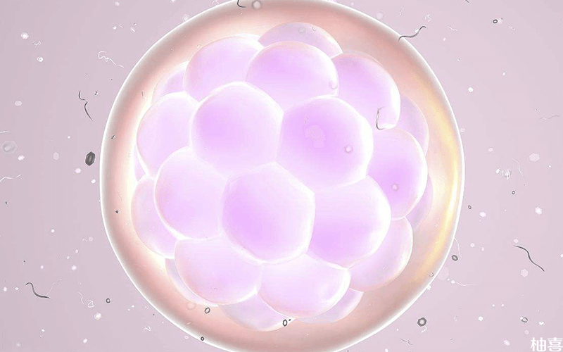 宫腔镜后移植冻胚更容易成功