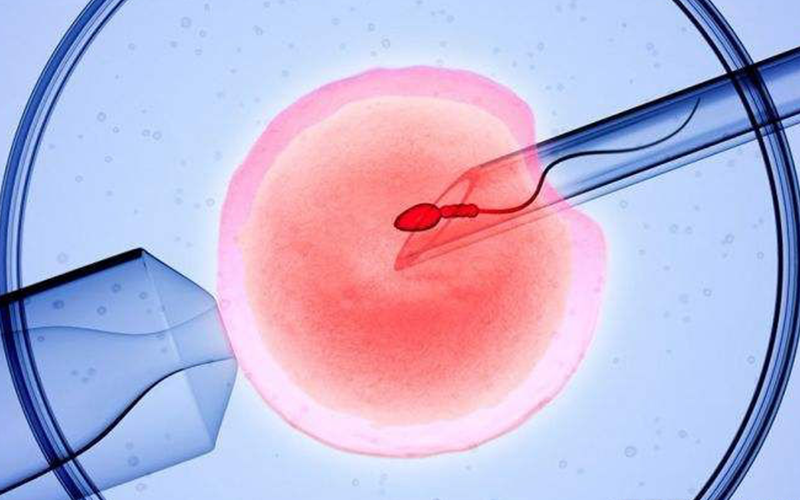 试管胚胎移植后不能进行剧烈活动