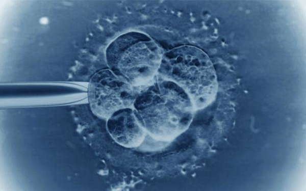 14到15mm的卵泡能用作试管婴儿周期里吗?