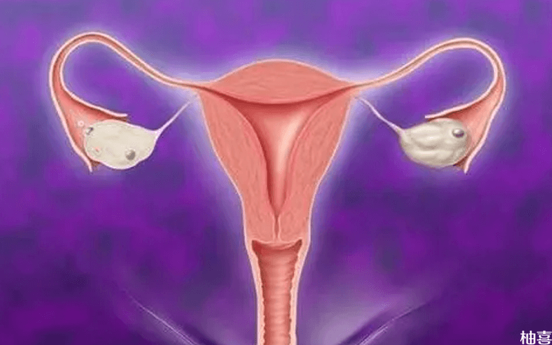 供卵试管对子宫内膜厚度有要求