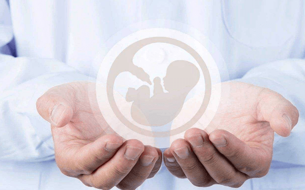 国内的试管婴儿技术可以放多个胚胎做三胞胎吗？