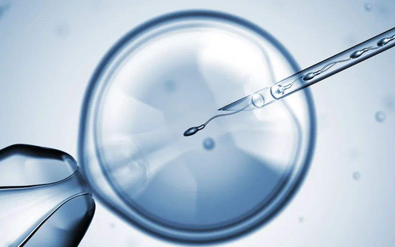 试管婴儿中医生会移植多个胚胎
