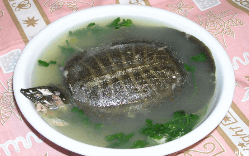 甲鱼汤对促进卵泡发育有作用