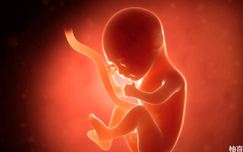 孕妇发烧影响胎儿神经系统发育