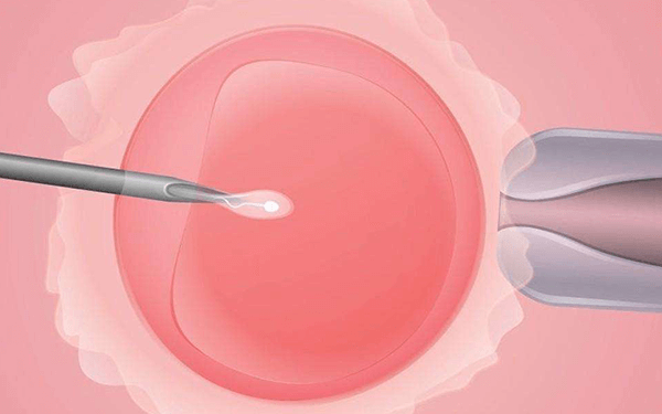 4bb囊胚移植后有可能会分裂变成双胞胎吗?求几率!