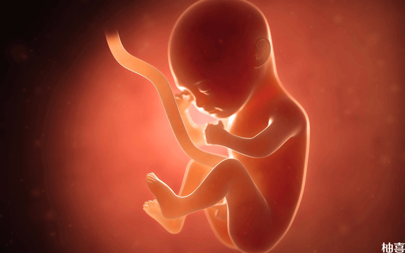 孕妇上火对胎儿有影响
