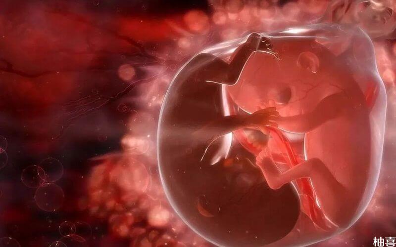 优质胚胎是一级胚胎