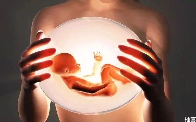 优质胚胎示意图