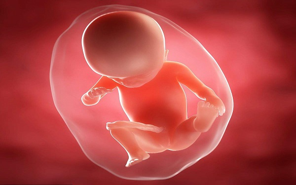 别再认为优质胚胎都是儿子！和生男生女概率关系真不大