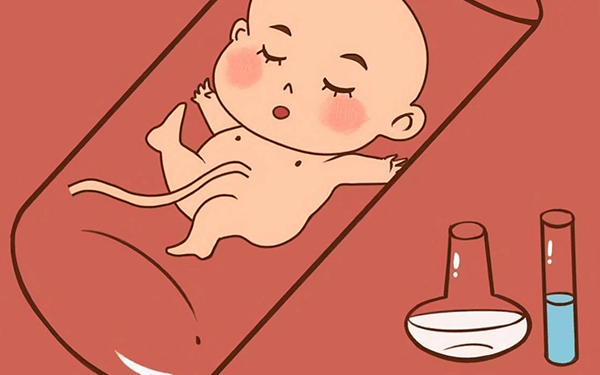 2024年湛江哪个公立医院能做供卵试管婴儿?