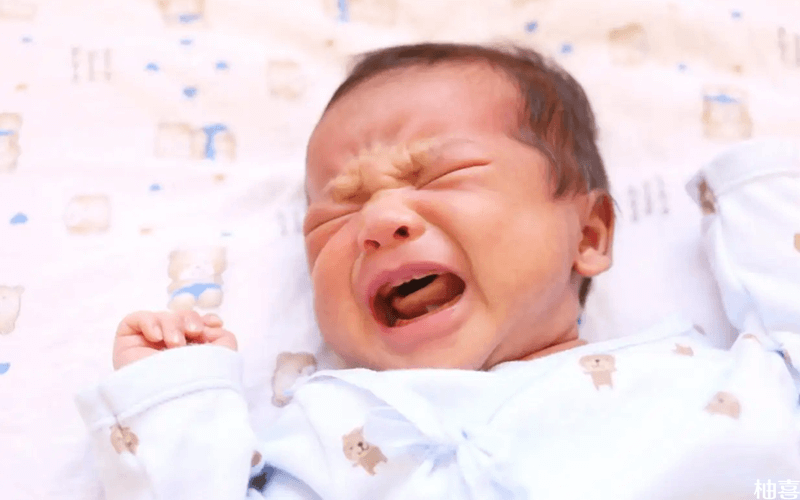 两个月左右的新生儿