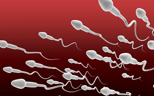男性每天精子活力最弱的时间是几点钟？