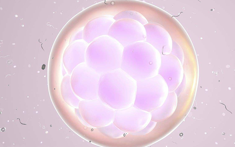 窦卵泡数量做二代和三代试管都是可以的