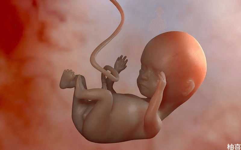 胎儿窘迫和缺氧不同