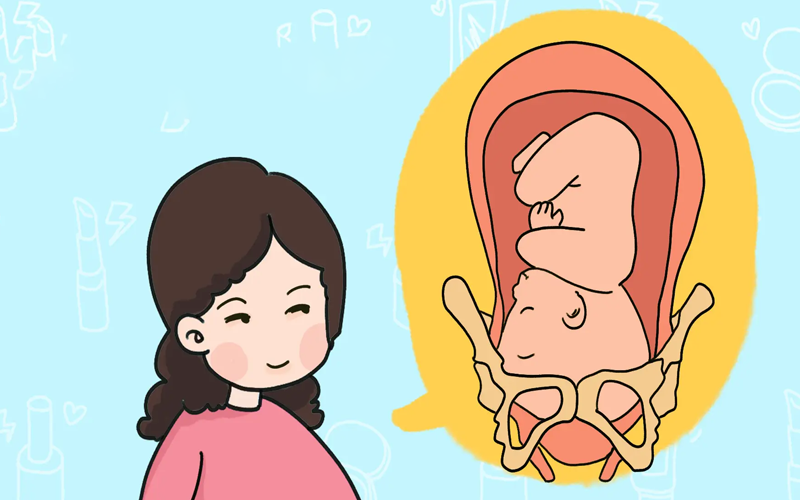 胎儿从臀位转头位是慢慢转