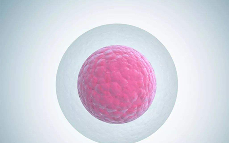 窦卵泡数量过少会影响怀孕几率