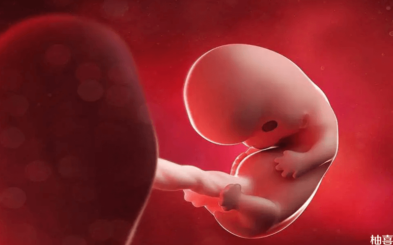 宫内窘迫可能导致胎儿生长停止