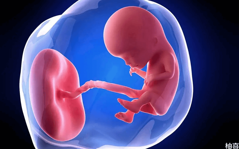 胎儿胎心率示意图