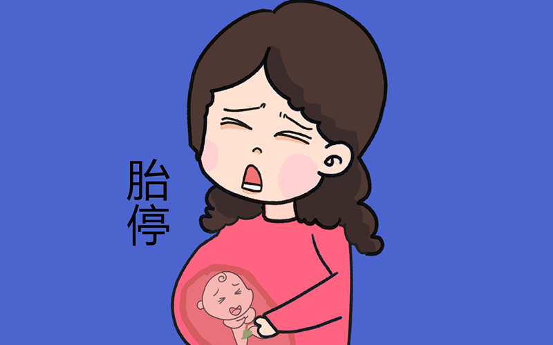 胎停育