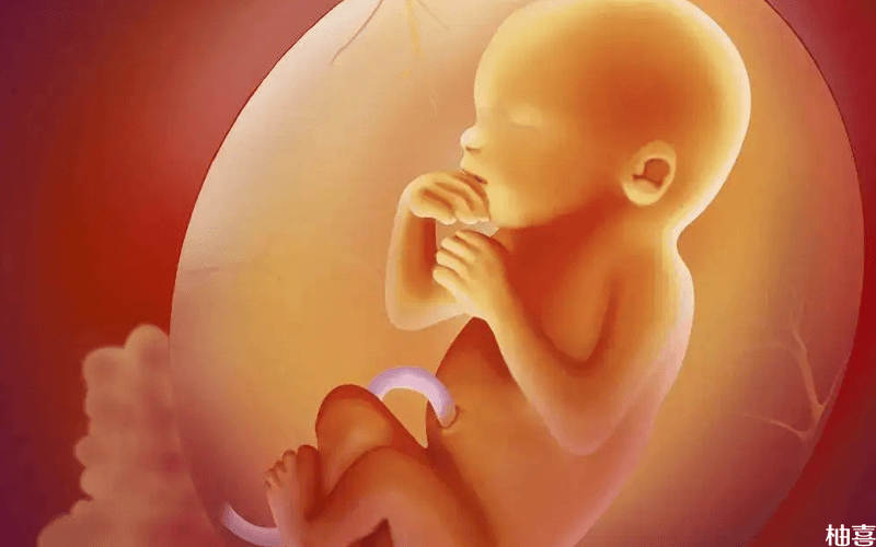 胎儿出现肾盂分离