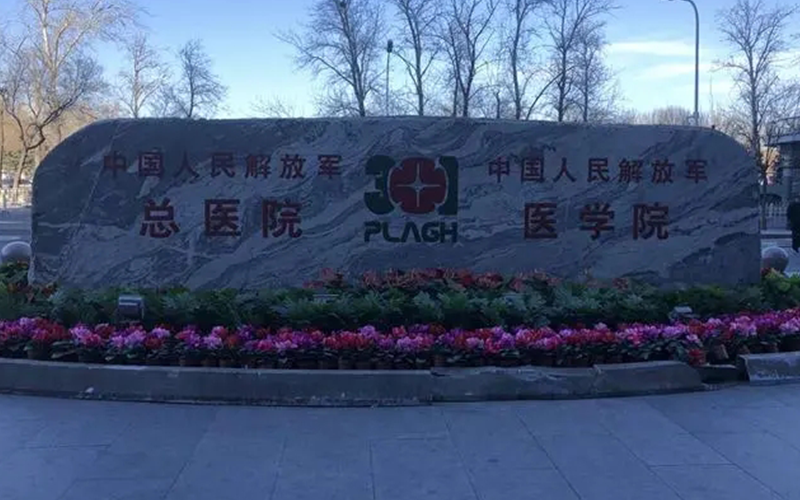 北京陆军总医院试管婴儿成功率挺高