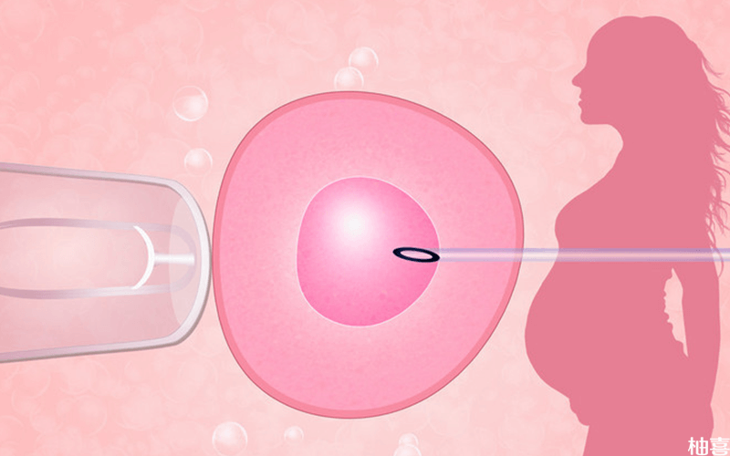47岁绝经女性做供卵试管的成功率有多少？影响成功率的因素有哪些？