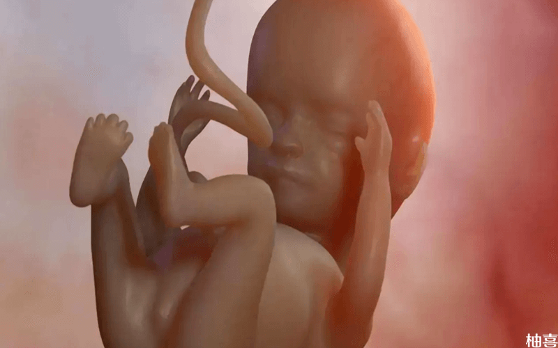 胎儿畸形有征兆