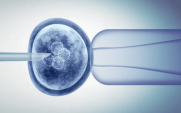 鲜胚移植一般是生龙凤胎的几率比较大吗？