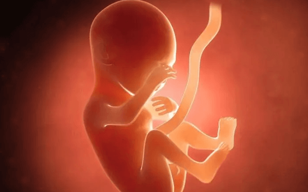 胎儿发育畸形有前兆反应，10大征兆为最明显的表现