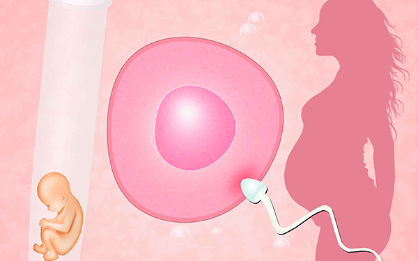 囊胚移植十二天相当于怀孕第几周了?