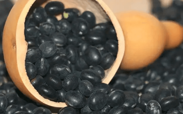 为什么很多医生建议黑豆促排卵只需要吃6天？