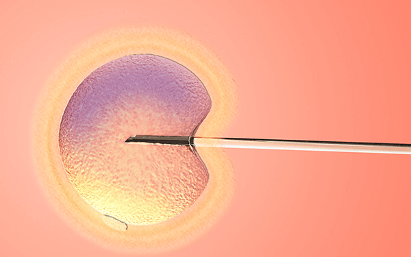 为啥囊胚移植十二天以后才能验血测到是否成功着床?