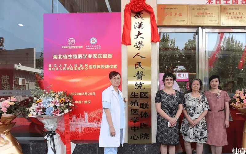 湖北省人民医院生殖中心团队