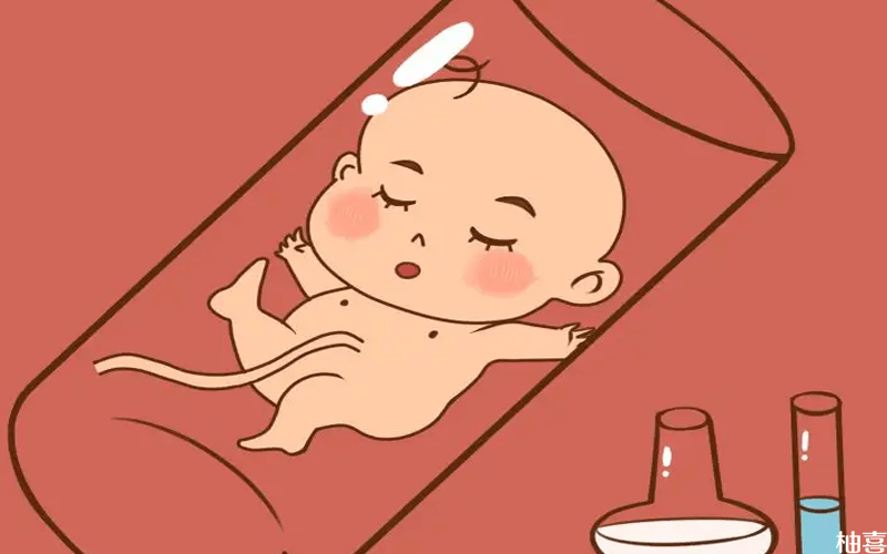 试管婴儿简单漫画图