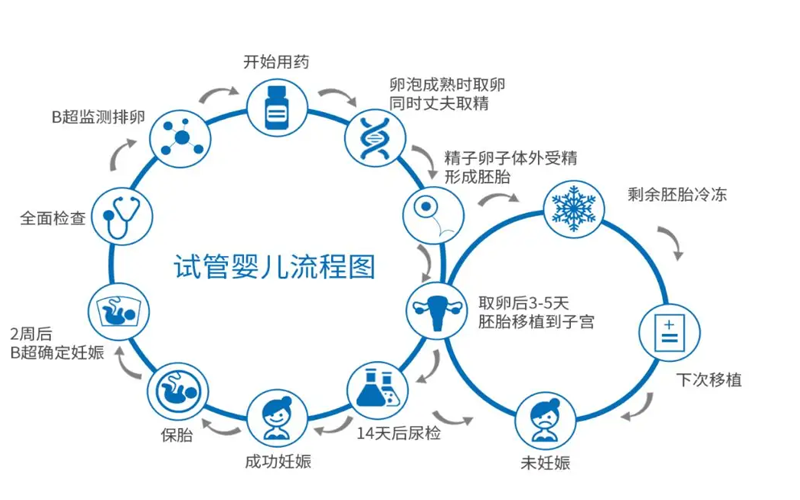 试管的用途和注意事项图片