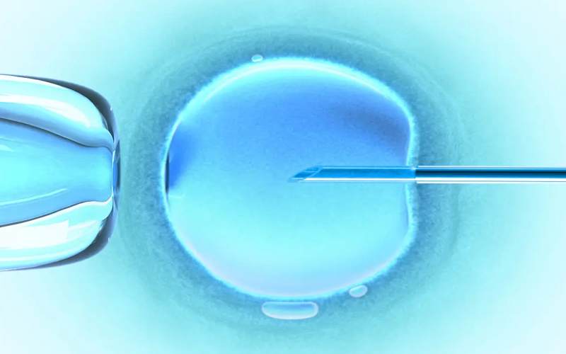 供精试管的精子都来源于人类精子库