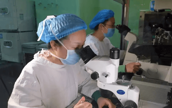 广州妇幼保健院试管婴儿医生大全，助孕成功率高的大夫参考